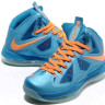 LeBron James X (10) (NYC)