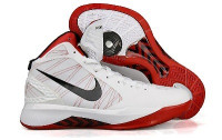 Nike Zoom Hypedunk 2011 (white)