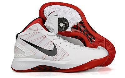 Nike Zoom Hypedunk 2011 (white)