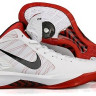 Nike Zoom Hypedunk 2011 (white)