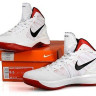Nike Zoom Hypedunk 2011 (white)