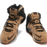 LeBron James 12 SE EP Brown