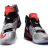 LeBron 13 Fate