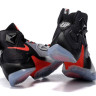 LeBron 13 Fate