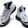 LeBron James X (10) (white blue gold)