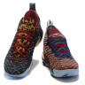 LeBron 16 What The ​