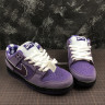 Nike × CONCEPTS SB Dunk “Purple Lobster” BV1310-555
