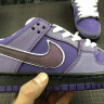 Nike × CONCEPTS SB Dunk “Purple Lobster” BV1310-555