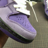 Nike × CONCEPTS SB Dunk “Purple Lobster” BV1310-555