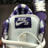 Nike × CONCEPTS SB Dunk “Purple Lobster” BV1310-555