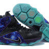 LeBron James 12 Universe