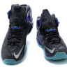 LeBron James 12 Universe