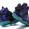 LeBron James 12 Universe