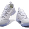 Nike Lebron 14 low White Ice