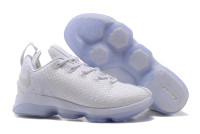 Nike Lebron 14 low White Ice