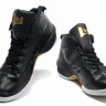 Jordan Fly Wade 2 EV black\gold