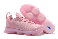 Nike Lebron 14 low Pink