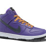 Nike Dunk high NFL (carolina panthers)