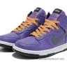Nike Dunk high NFL (carolina panthers)