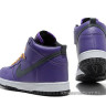Nike Dunk high NFL (carolina panthers)