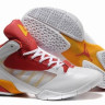 Jordan Fly Wade 2 EV white\gold\red