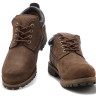 Timberland Мужские chukka premium (brown)
