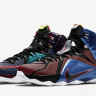 LeBron James 12 SE EP "What THE"