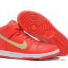 Nike Dunk high NFL (San Francisco 49ers)