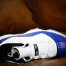Air Jordan 11 Low Concord AJ11  AH7860-100 