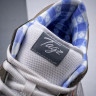 CONCEPTS X NIKE SB DUNK LOW BV1310-105