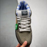 CONCEPTS X NIKE SB DUNK LOW BV1310-105