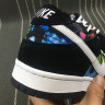 Nike SB Dunk Low Pro IW 819674-019