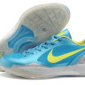 Zoom Hyperdunk Low 2011 Son Of The Dragon Yellow