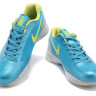 Zoom Hyperdunk Low 2011 Son Of The Dragon Yellow