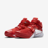 Lebron soldier 9 Team University Red
