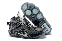 LeBron James 12 Grey