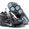 LeBron James 12 Grey