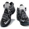 LeBron James 12 Grey