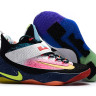 NIKE LEBRON SOLDIER 11 Low What The