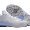 Nike Kobe Venomenon 6 EP “Pure Platinum”