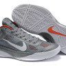 Nike Hyperfuse 2010 Low (gray)