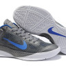 Nike Hyperfuse 2010 Low (gray/blue)