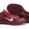 Nike Hyperfuse 2010 Low (red)