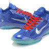 Nike Hyperfuse 2011 Low (blue)