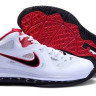 LeBron James 9 (IX) Black/White/Red
