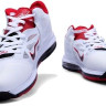 LeBron James 9 (IX) Black/White/Red