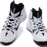 Nike Hyperdunk 2014 white/black