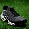 Nike Air Max Plus Wolf Grey Original