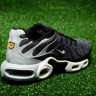 Nike Air Max Plus Wolf Grey Original