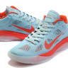 Nike Hyperfuse 2010 Low (blue/orange)